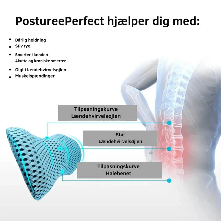 RelaxRest™ - Ergonomisk Lændepude